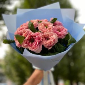 9 Пионовидных роз Regents Park