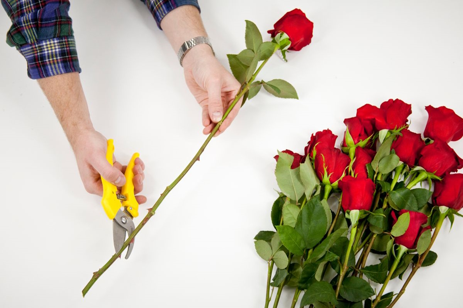 Как реанимировать розы в вазе 