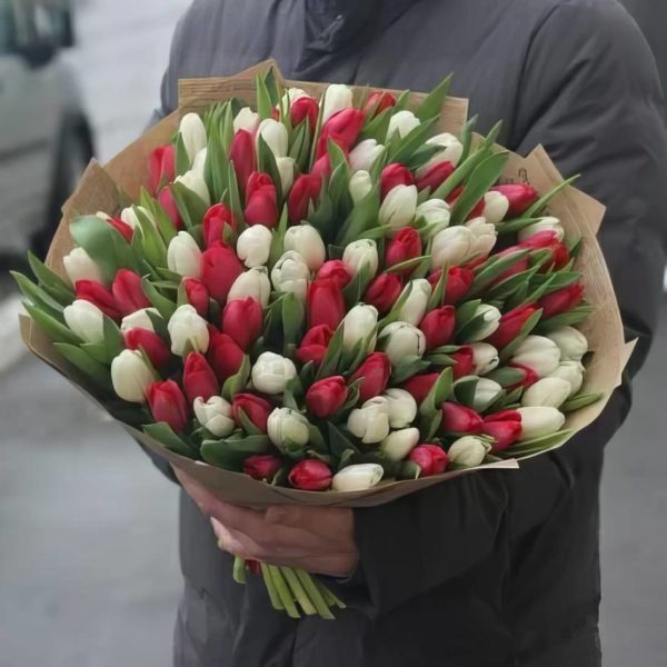 101 Белый и Красный Тюльпан