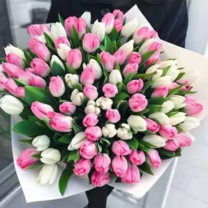 Букет из 101 белого и розового тюльпана в белой пленке