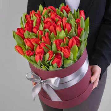 51 Голландский Красный Тюльпан в коробке