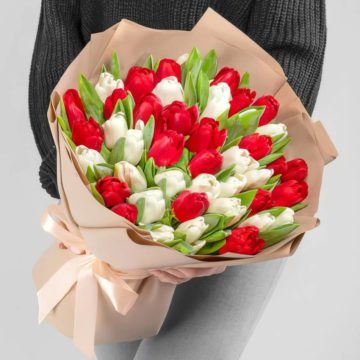 Букет из 45 Голландских белых и красных тюльпанов в крафтовой бумаге