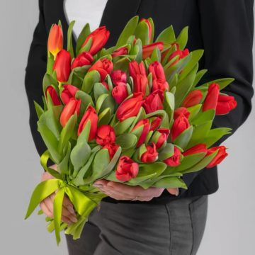 Букет из 45 Голландских красных тюльпанов