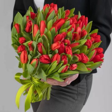 Букет из 75 Голландских красных тюльпанов